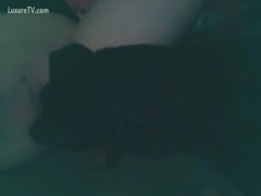 Dog licking in the black